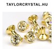 53001 gold / crystal
